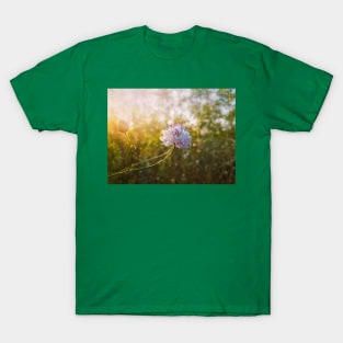 Knautia arvensis T-Shirt